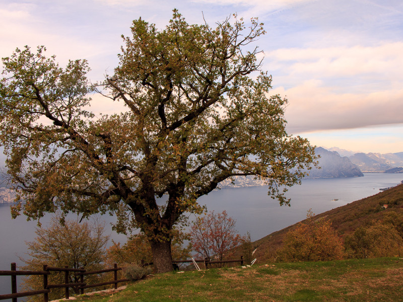 Il Fiordo Gardesano in E-MTB