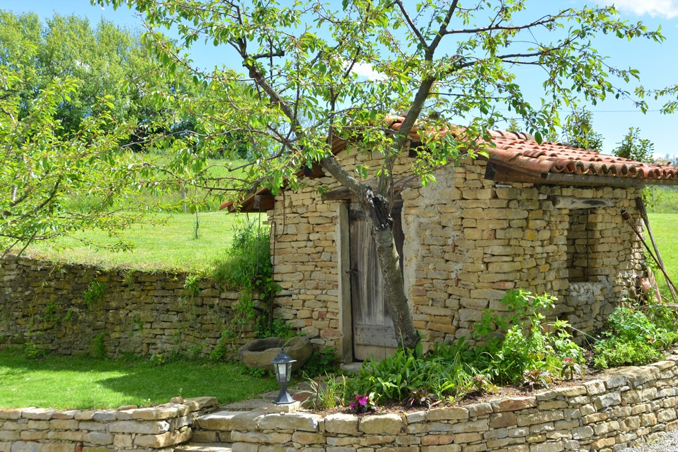 Alta Langa, not only vineyards