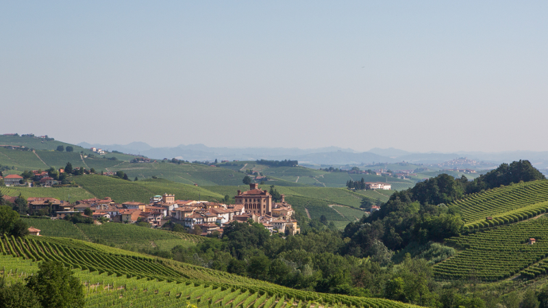 Barolo and Novello for Families by ebike