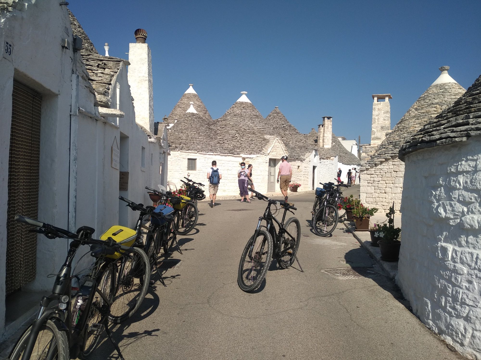 Alberobello e i vini della Vale d'Itria