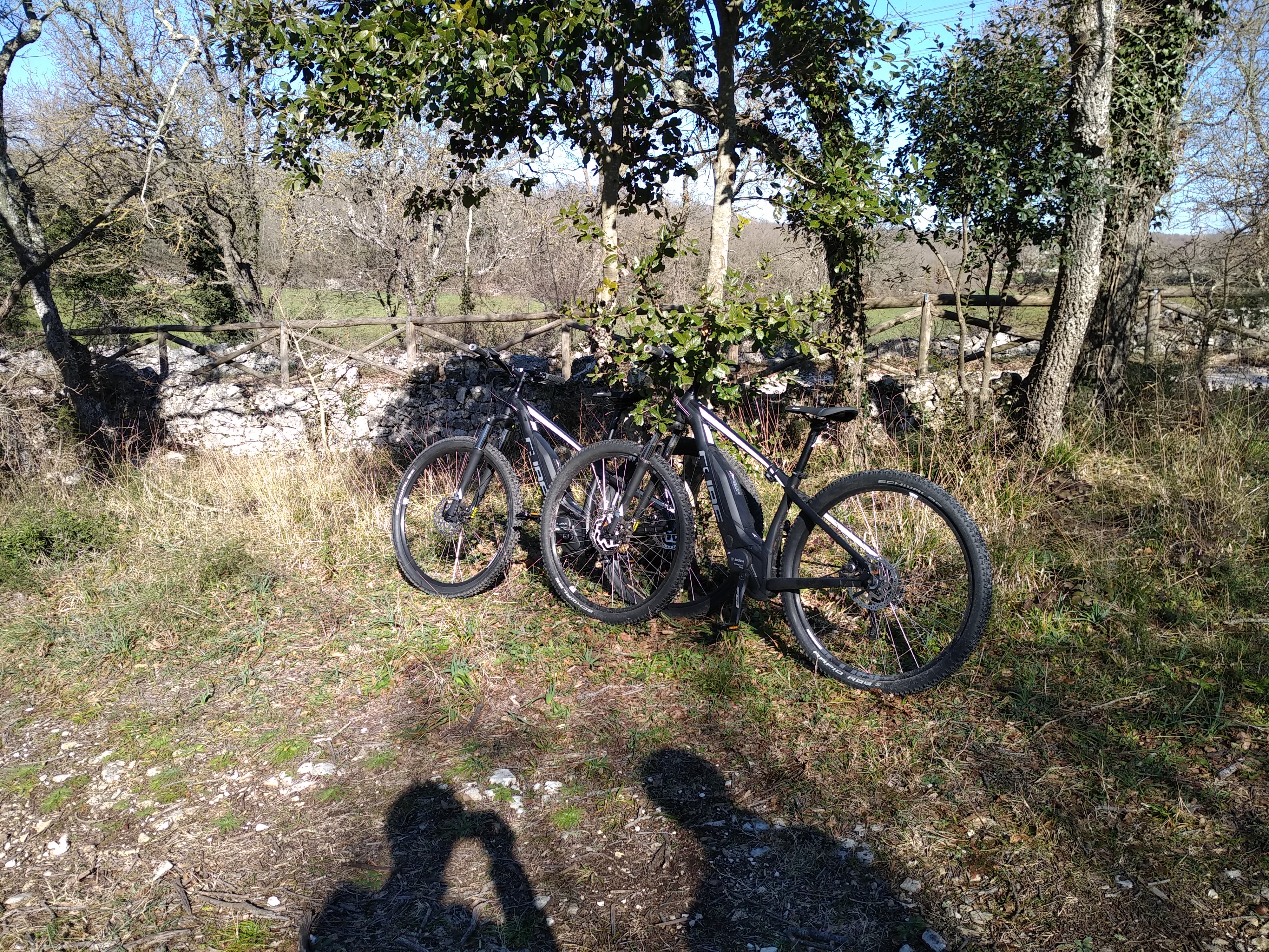 Il Bosco delle Pianelle in ebike mtb