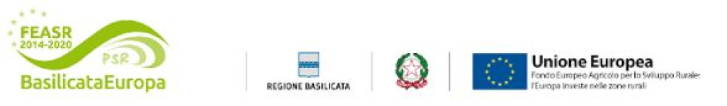 Logo Sponsor BikeSquare Pollino